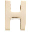 H Initial